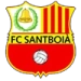 logo Santboia