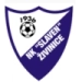 logo Slaven Zivinice