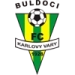 logo Karlovy Vary