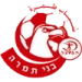 logo Hapoel Bnei Tamra