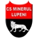 logo Minerul Lupeni