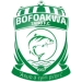 logo Bofoakwa Tano