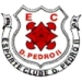 logo Dom Pedro