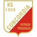 logo Concordia Piotrkow Trybunalski