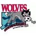 logo Connecticut Wolves