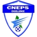 logo CNEPS Excellence