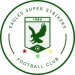 logo Eagles Super Strikers