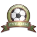 logo Gubkin