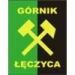 logo Gornik Leczyca