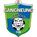 logo Gangneung City