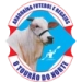 logo Araguaína