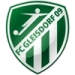 logo Gleisdorf