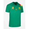 Camiseta Camerún