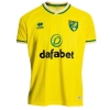 jersey Norwich City