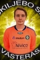 photo Friberg