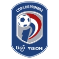 logo Copa Tigo-Visión Banco