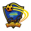 logo Lucozade Sport Goal Shield
