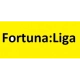 photo Fortuna Liga