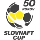 photo Coupe de Slovaquie