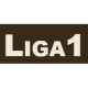 photo Liga I